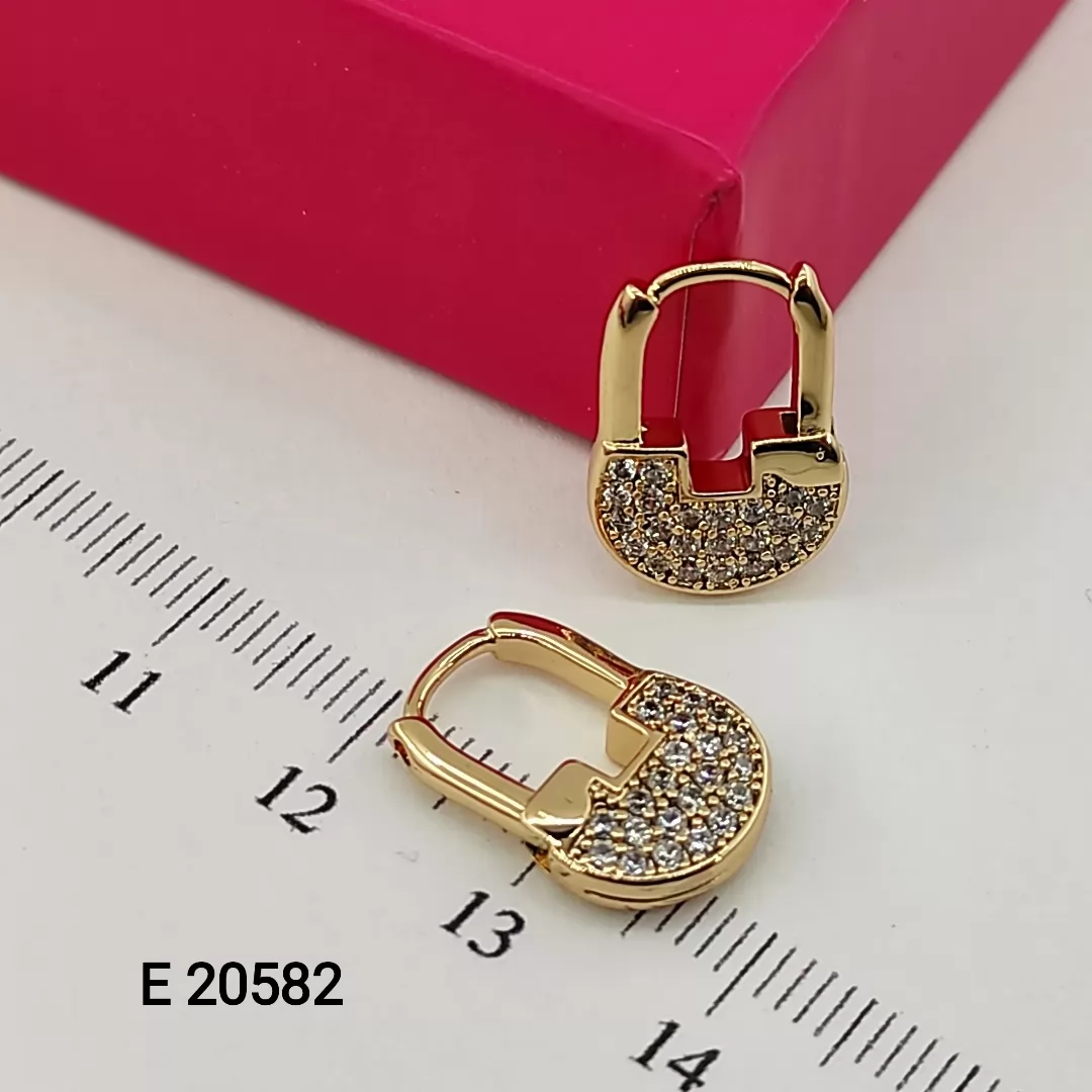 E 20582